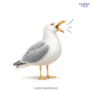 걀걀의 소리 발생 장면