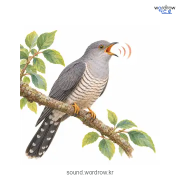 뻐꾹의 소리 발생 장면