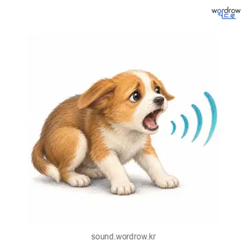 캥캥의 소리 발생 장면