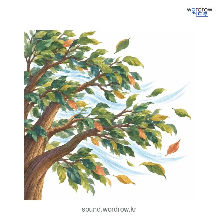 쏴의 소리 발생 장면