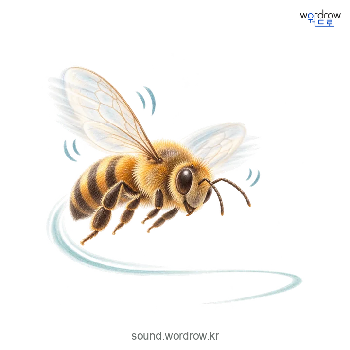 웽의 소리 발생 장면