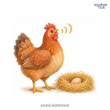 꼬꼬댁꼬꼬댁의 소리 발생 장면