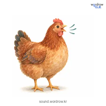 꼬꼬의 소리 발생 장면